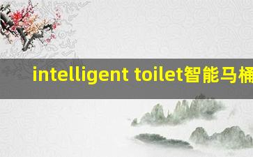 intelligent toilet智能马桶